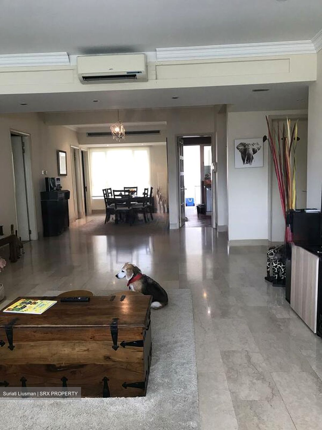 Chancery Park (D11), Condominium #486147181
